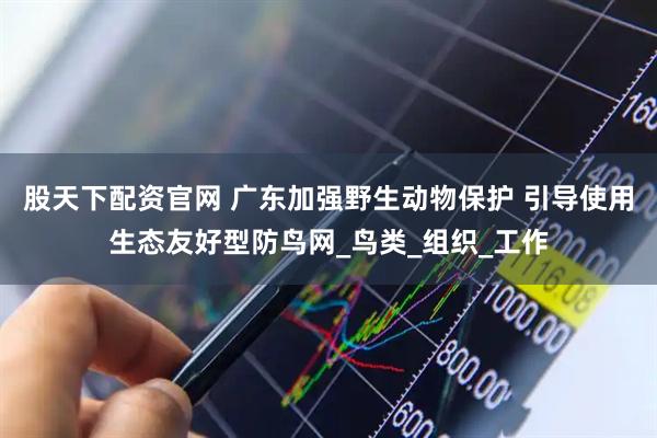股天下配资官网 广东加强野生动物保护 引导使用生态友好型防鸟网_鸟类_组织_工作